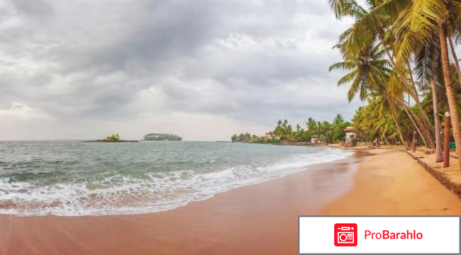 Берувела шри ланка отзывы туристов отрицательные отзывы