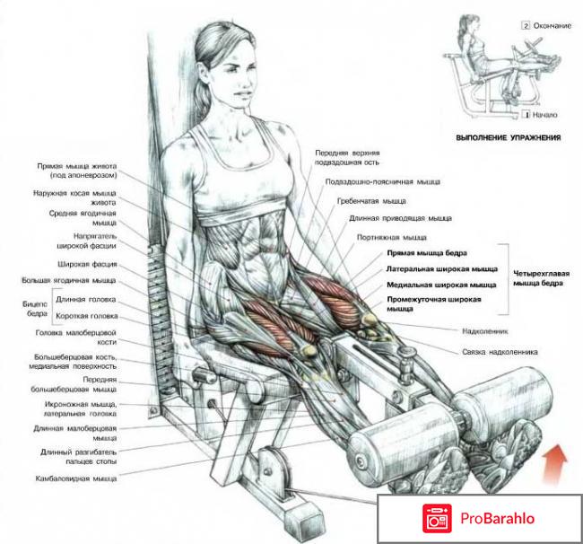 Разгибание ног в тренажере: техника выполнения и видео отрицательные отзывы