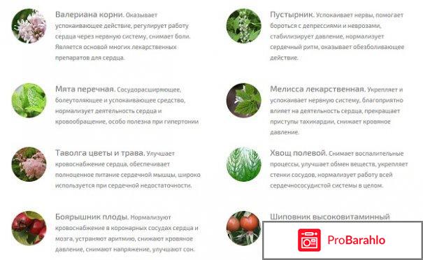 Монастырский сердечный чай правда или развод 