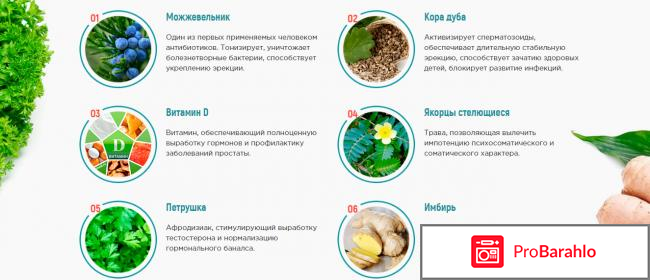 Растительные препараты для повышения потенции у мужчин отрицательные отзывы