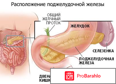 Мезим инструкция по применению цена отзывы отрицательные отзывы