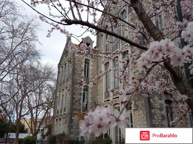 Отели португалии отрицательные отзывы