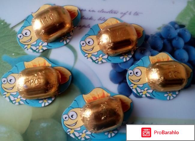 Конфеты Ванюшкины сладости 