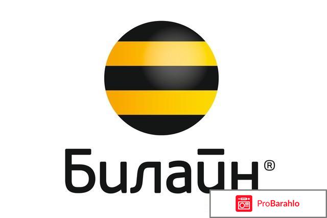 Интернет от билайн 