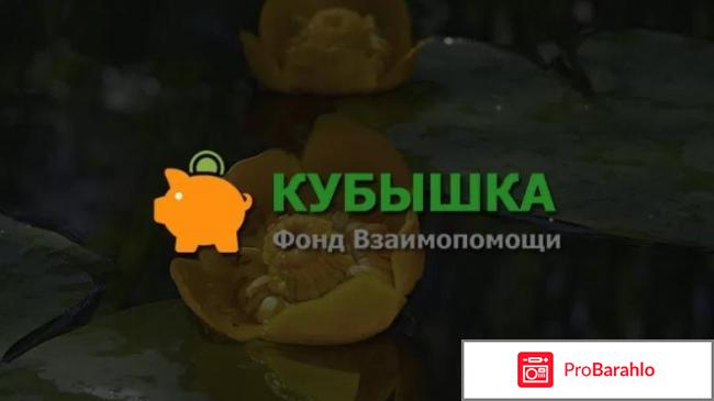 Фонд взаимопомощи кубышка опять обман отзывы 