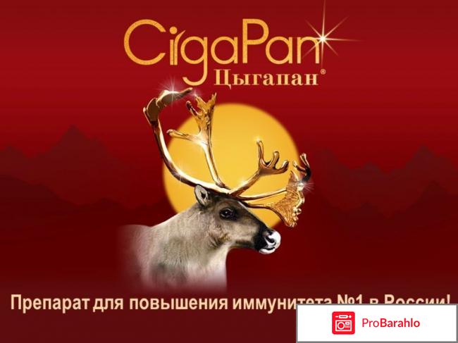 БАД Цыгапан из рогов оленя. Отзывы и цены 