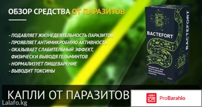 Бактефорт капли от паразитов отзывы покупателей отрицательные отзывы