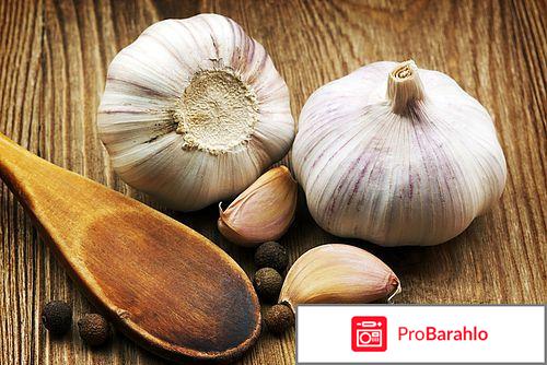 Польза чеснока 