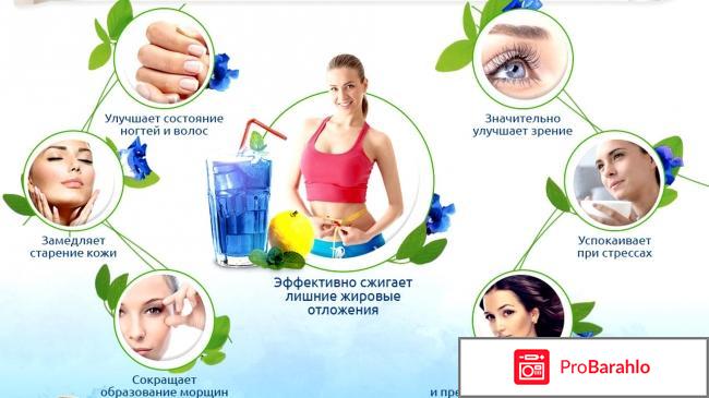 Пурпурный чай чанг шу отзывы реальные обман