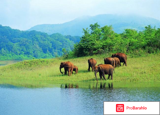 Индия в декабре отзывы туристов обман