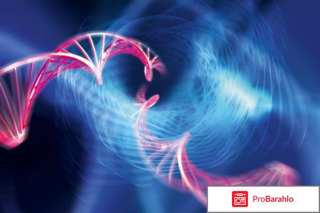 Тета хилинг что это такое отзывы отрицательные 