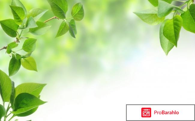 Чайный набор Patricia IM56-1522 отрицательные отзывы