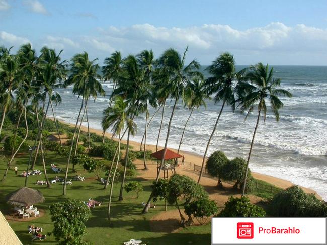 Шри ланка отели отзывы туристов обман