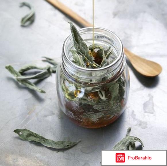 Шалфей для женщин отзывы отрицательные отзывы