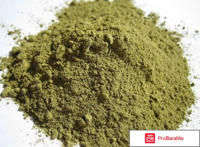 Хна для укрепления волос отзывы 