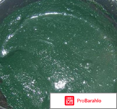 Растительная краска для волос обман