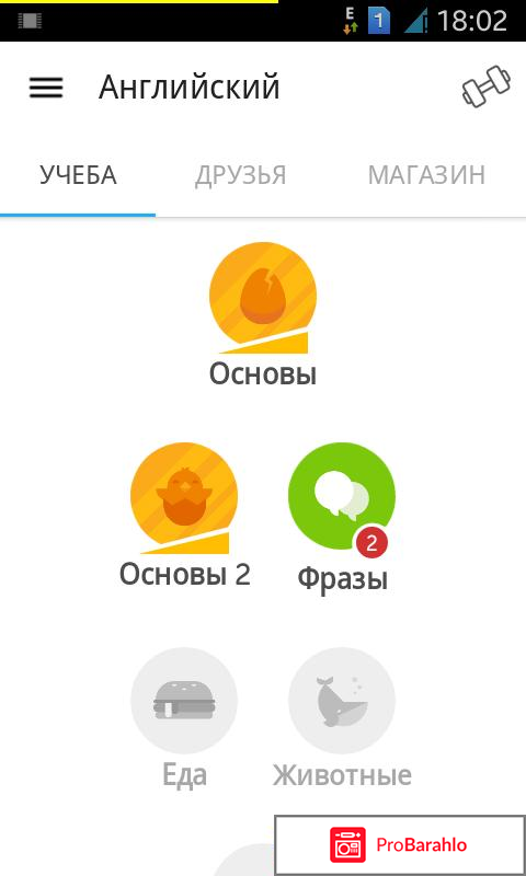 Duolingo учим языки бесплатно обман