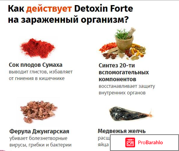 Detoxin Forte (Детоксин Форте) от паразитов - развод или нет реальные отзывы