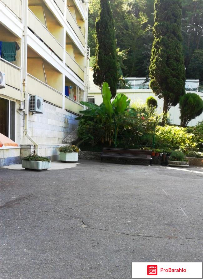 Отдых в шепси обман