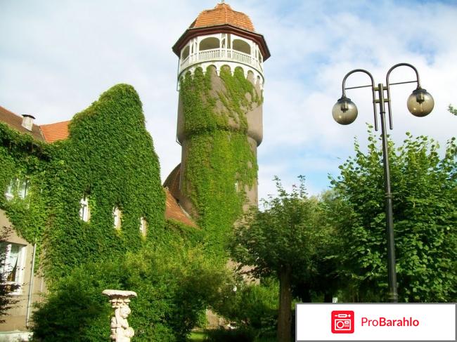 Светлогорск отзывы туристов отрицательные отзывы