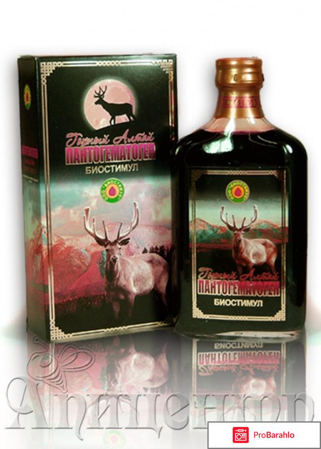 Кровь марала 