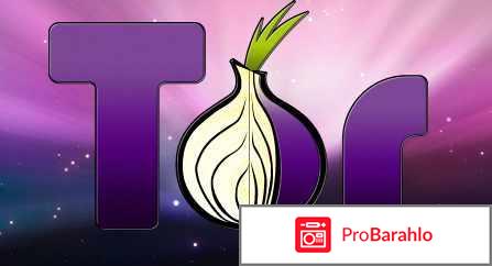 Tor browser 