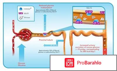 Производители Форсига и Инвокана предупреждают... обман