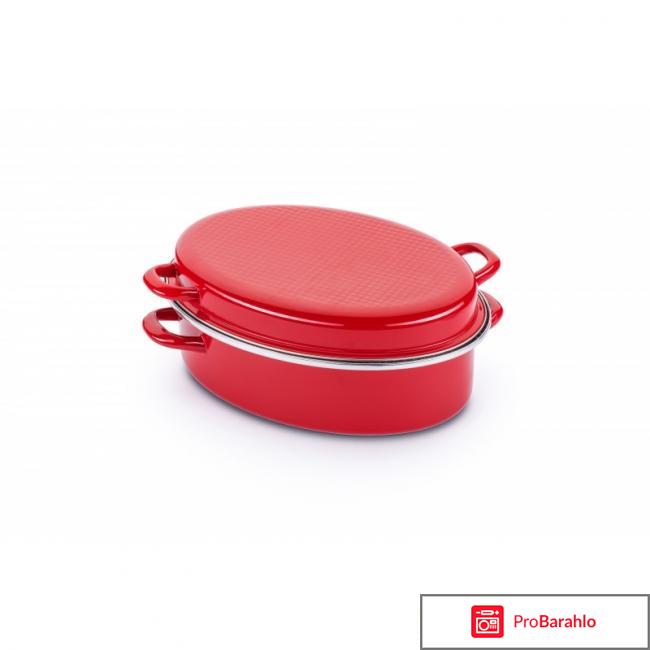 Гусятница Delimano «Сила камня» 2 в 1 обман