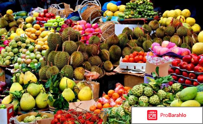 Что привезти из вьетнама отзывы туристов обман