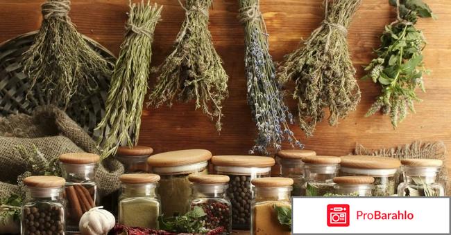 Эпам 7 сибирское здоровье отзывы врачей отрицательные отзывы