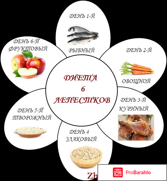 Диета шесть лепестков меню на каждый день, Монодиета обман
