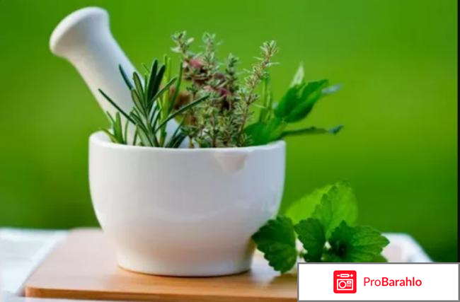 Стоптуссин фито отзывы обман