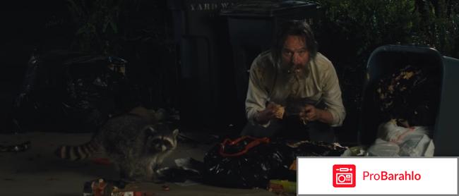 Во всем виноват енот отрицательные отзывы