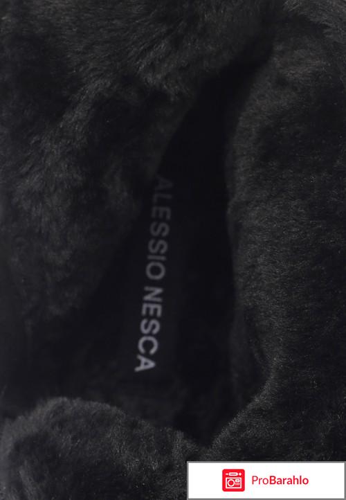 Alessio nesca отрицательные отзывы