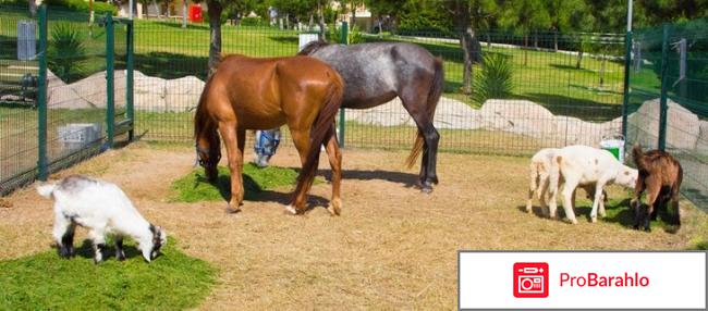 Cesars temple de luxe hotel 