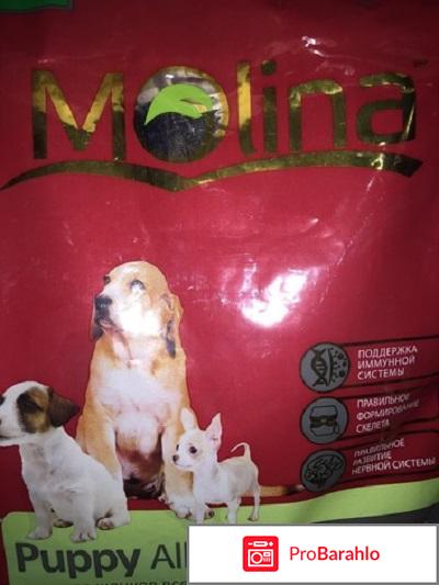 Молина  Puppy All Breed - для щенков всех пород 