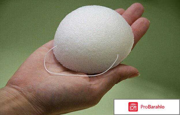 Спонжи конняку 