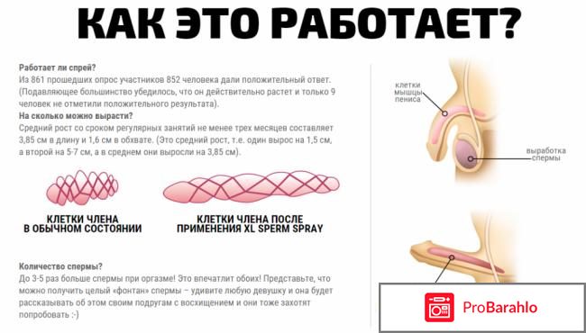 Доминатор отзывы реальные отрицательные отзывы