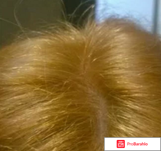 Краска фитолиния палет 270 тон отзывы обман