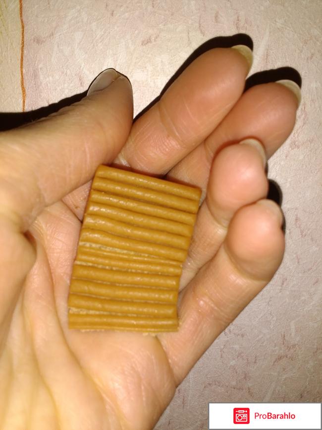 Ирис Яшкино 