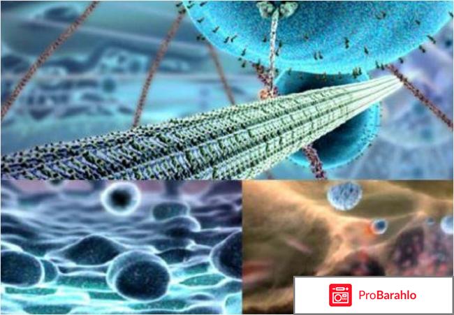 Стиотрон про отзывы врачей обман