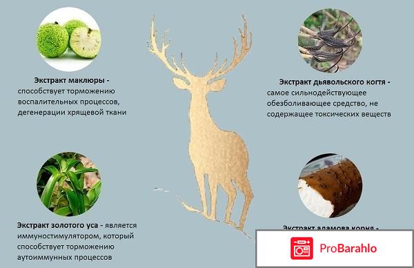 Пантогор гель обман