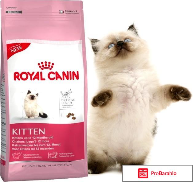 Royal canin kitten обман