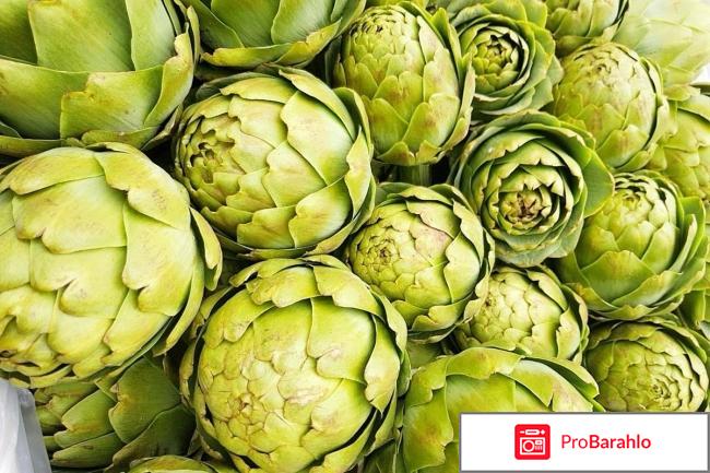 Гепатрин отзывы людей обман