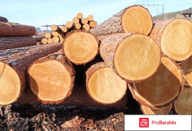 Дом из калиброванного бревна отрицательные отзывы