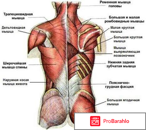 Кетопрофен обман