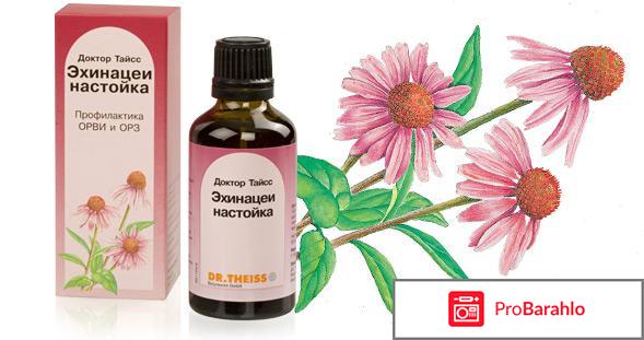 Эхинацея для иммунитета детям 
