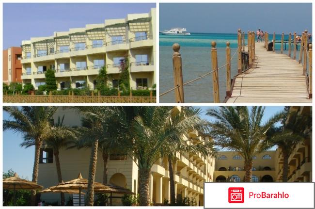 Рейтинг отелей египта отзывы владельцев