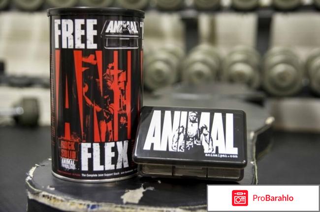 Энимал флекс отзывы врачей обман