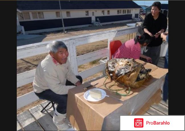 Нейрин обман